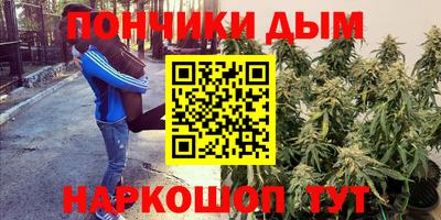 СК Новозыбков