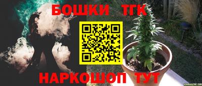 СК Новозыбков