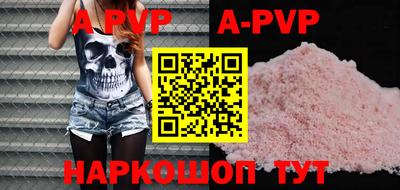 СК Новозыбков