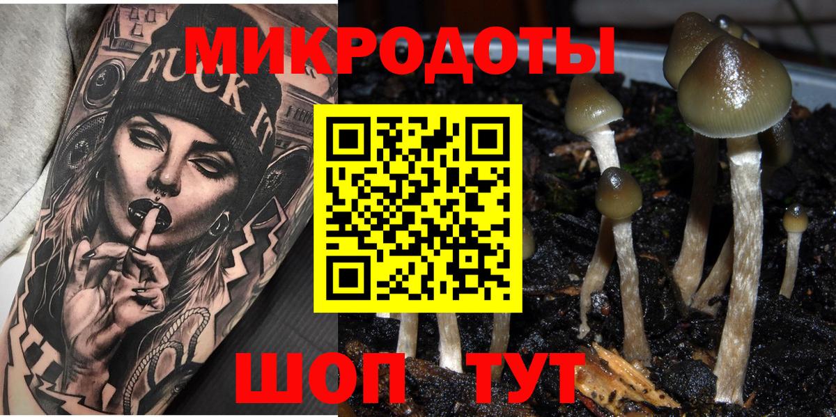 Псилоцибиновые грибы MAGIC MUSHROOMS Тихвин